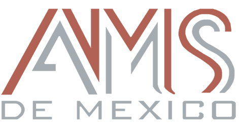 AMS de México Especialistas en Plafones y Puertas S de RL de CV